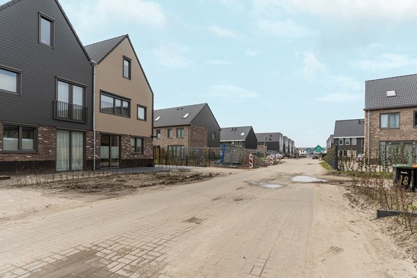 05-Moerasorchidee 13 - Lelystad.jpg